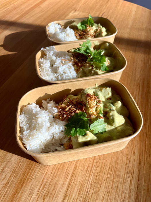 ~FROZEN~ Indonesian chicken curry.